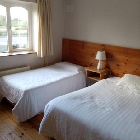 Parnell House Bed & Breakfast Ennis Dış mekan fotoğraf