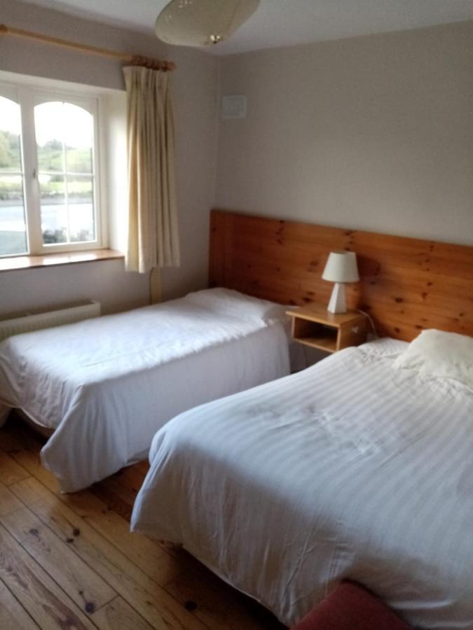 Parnell House Bed & Breakfast Ennis Dış mekan fotoğraf